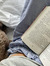 La bibl...