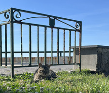 Kiki