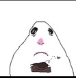 rj