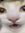 Roos