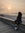 Safia