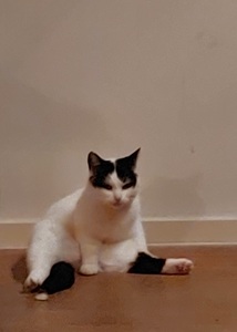 Ruben
