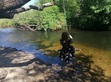 Abbie