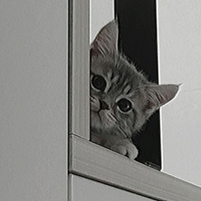 sumi