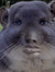 Blake E...