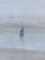 A Haar