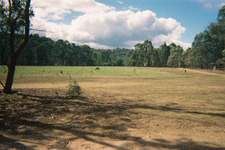 Pasu
