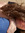 Berta