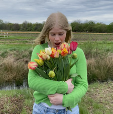 Svea