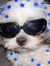 Lola(al...