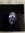 T S