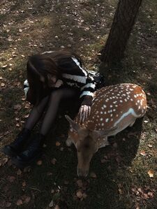 bambi  emojizz