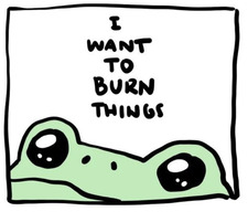 Little Frog
