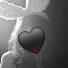 ꒷꒦Bunny꒦꒷
