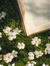loru.books