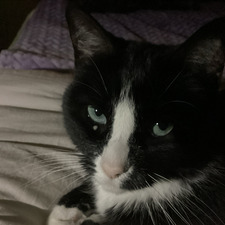 Della