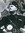 Douglas Ricchini