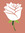 Rose McKittrick
