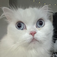 amna