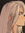 ~Stella (take me to camp halfblood)~