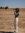 Charline Alexander