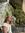Eveline