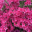 April