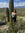 Kacie Camp