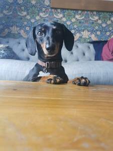 Ellie