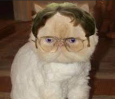 Aaron Endsley