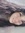 danielamrr