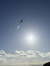 Kate Sc...