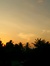 sunshine