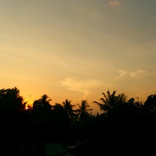 sunshine