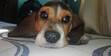 Arantxa