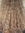 Annemieke