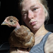 Julianna E Mueller