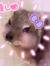 ライト