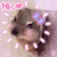 ライト