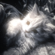 onyx