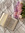 tulip reading