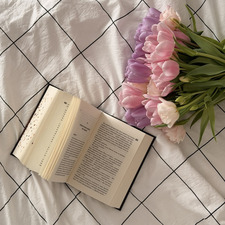 tulip reading