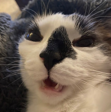 Ella