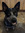 Lucy Duggan