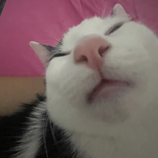 Emilie