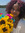 Dominique Moore