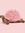 ⸝⸝ lova !