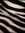 ᥫ᭡𝘍𝘈𝘠𝘌