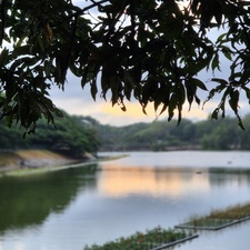Nishkal