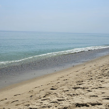Virginia